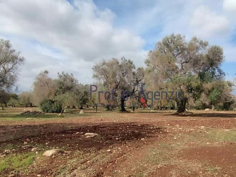 Helårsgrund i San Vito dei Normanni, Brindisi - foto 1