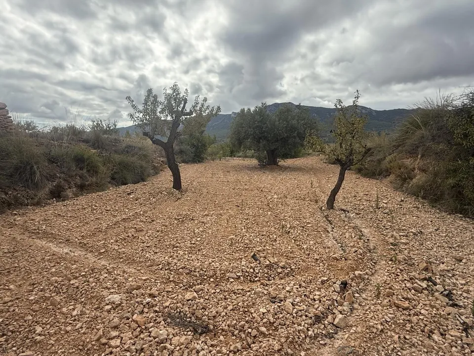 Helårsgrund i La Romana, Alicante - foto 1