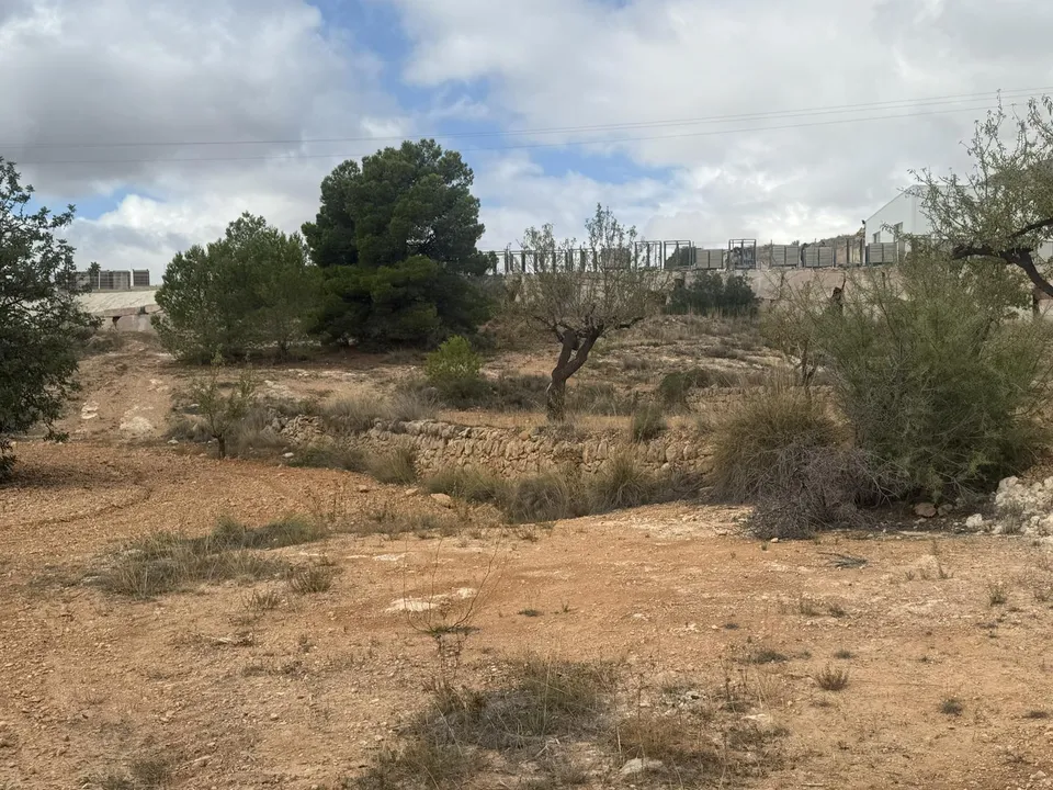 Helårsgrund i La Romana, Alicante - foto 2
