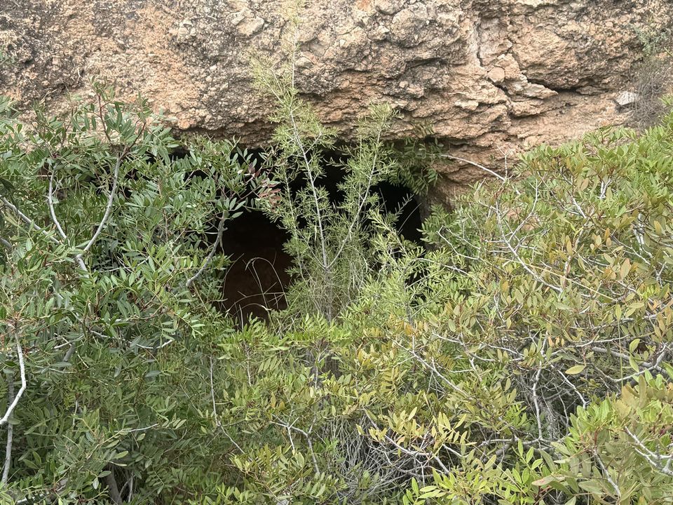 Helårsgrund i La Romana, Alicante - foto 5