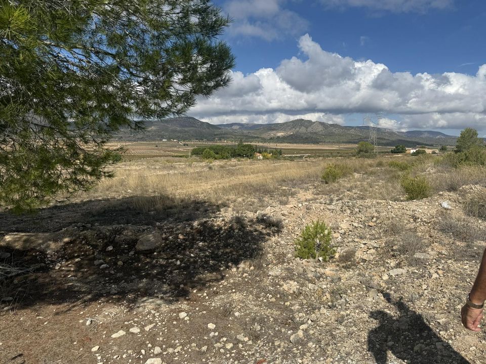Grond in Monovar, Alicante - foto 5