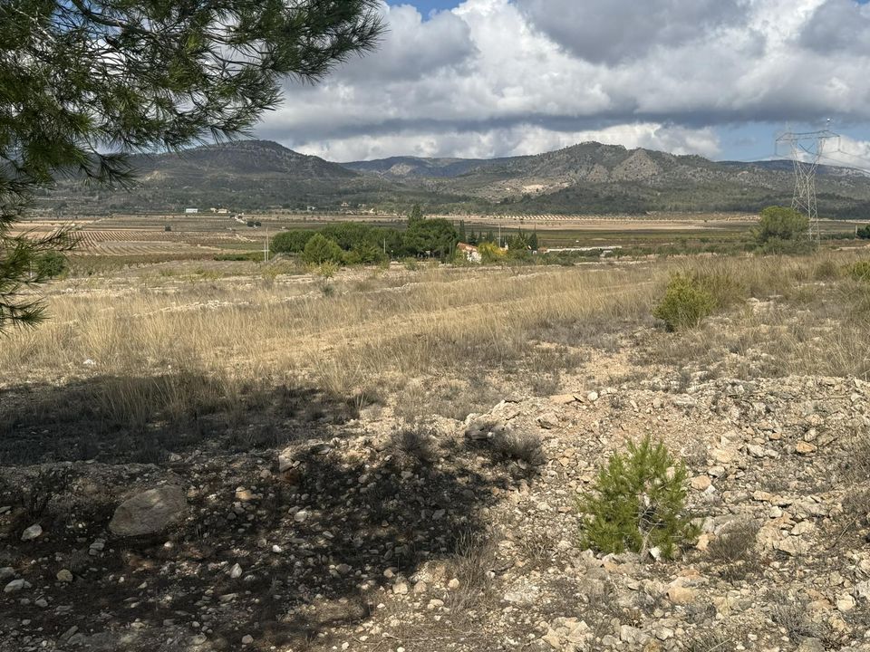 Grond in Monovar, Alicante - foto 4