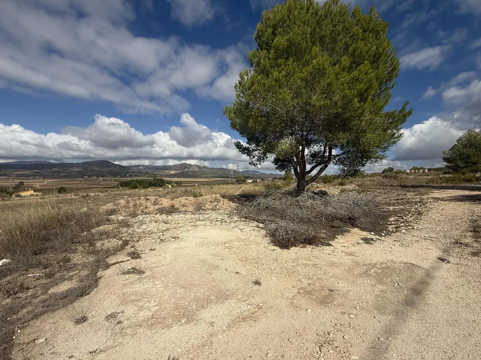 Grond in Monovar, Alicante - foto 2