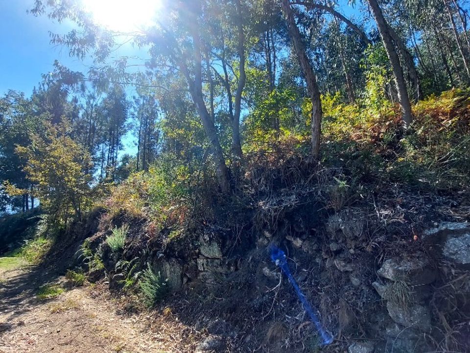 Helårsgrund i Amares, Braga - foto 3