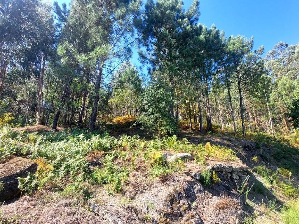 Helårsgrund i Amares, Braga - foto 4
