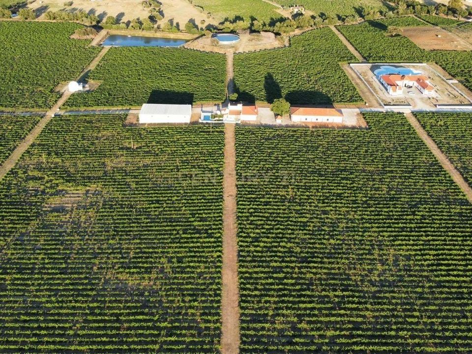 Farm hus i Redondo, Evora - foto 2