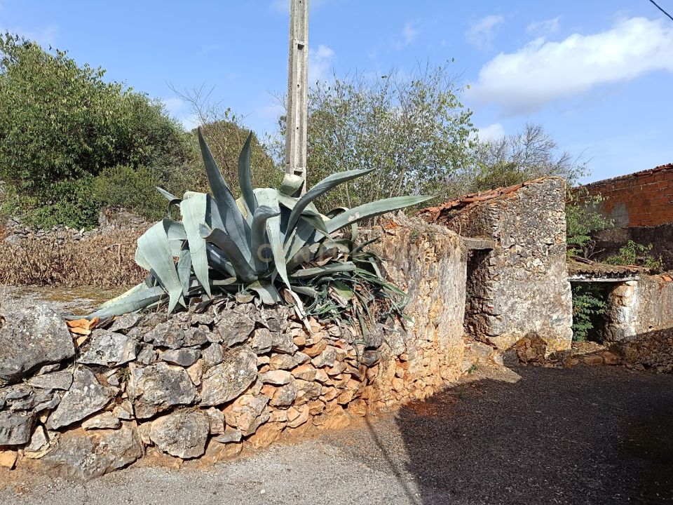 Villa i Torres Novas, Santarem - foto 1