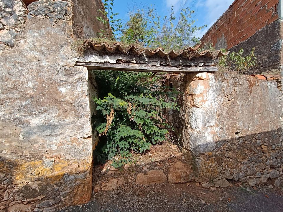 Villa i Torres Novas, Santarem - foto 2