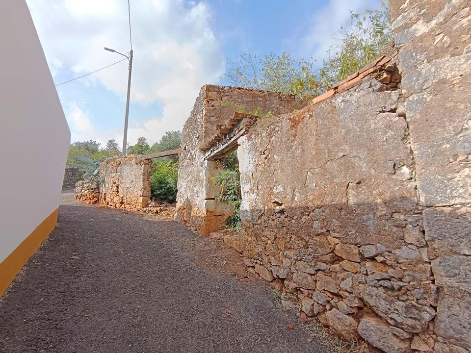 Villa i Torres Novas, Santarem - foto 3