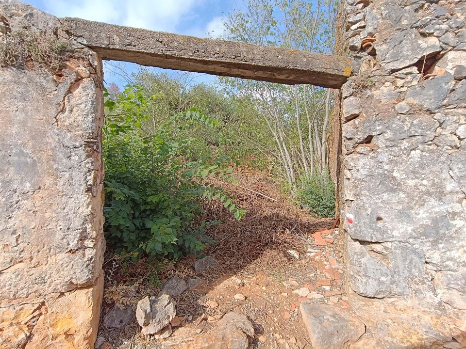 Villa i Torres Novas, Santarem - foto 4