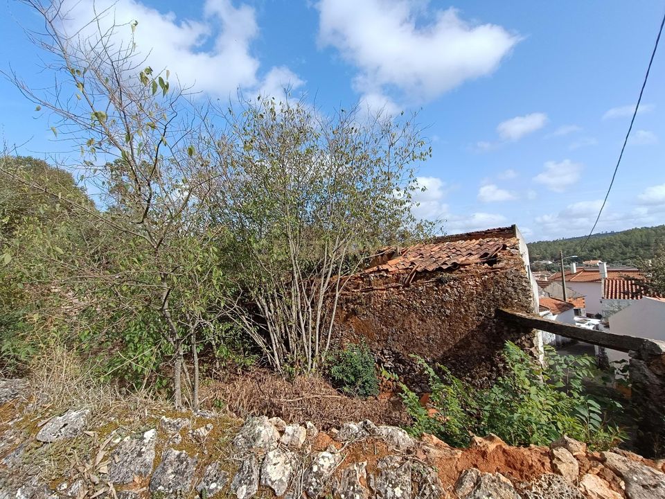 Villa i Torres Novas, Santarem - foto 5