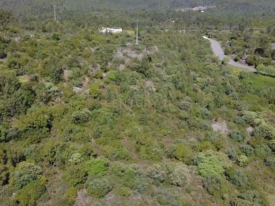 Helårsgrund i Torres Novas, Santarem - foto 2