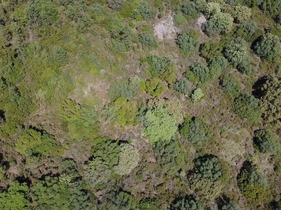 Helårsgrund i Torres Novas, Santarem - foto 3