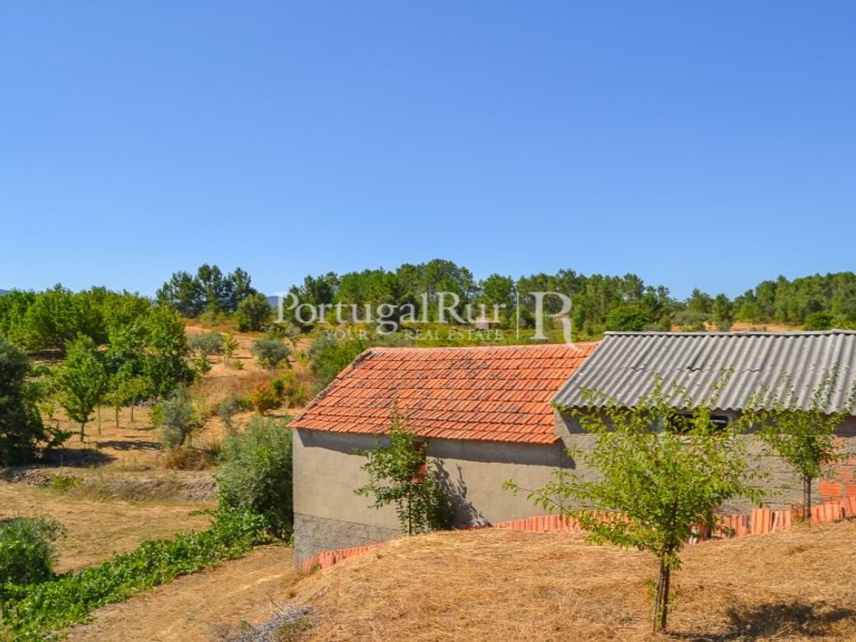 Helårsgrund i Proenca-a-Nova, Castelo Branco - foto 1