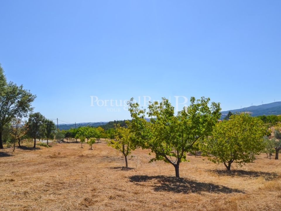 Helårsgrund i Proenca-a-Nova, Castelo Branco - foto 5