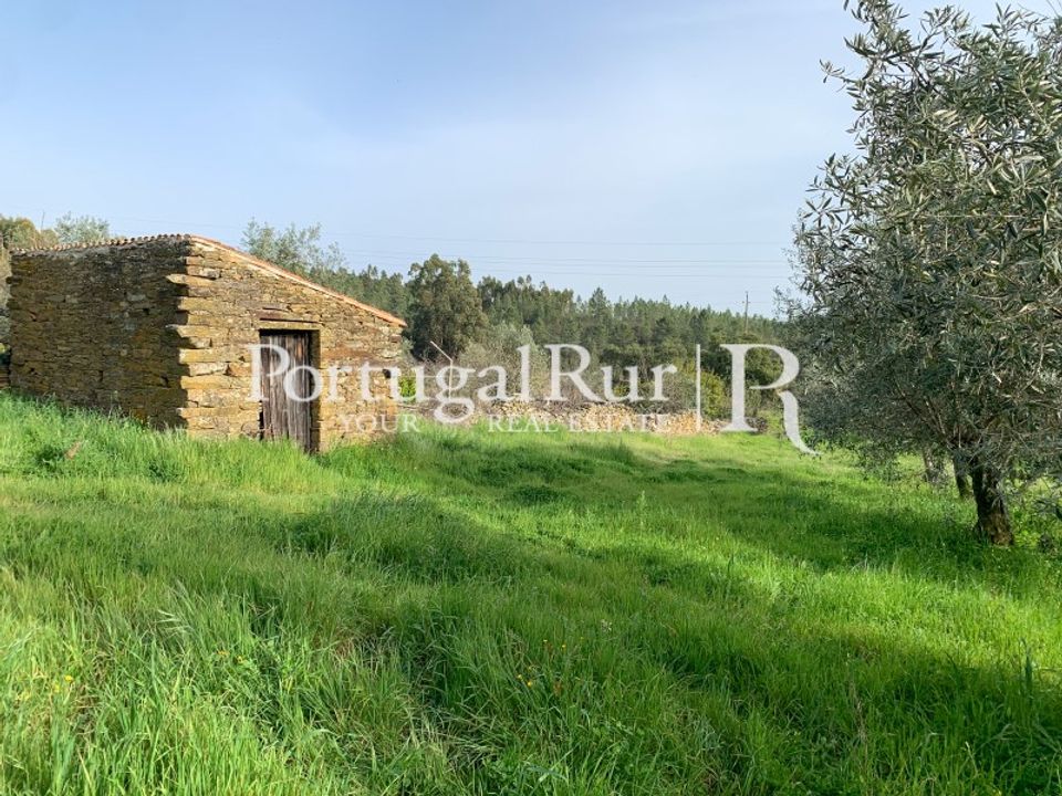 Villa a Vila Velha de Rodao, Castelo Branco - foto 4