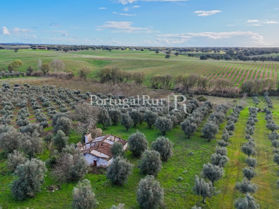Farm hus i Avis, Portalegre - foto 1