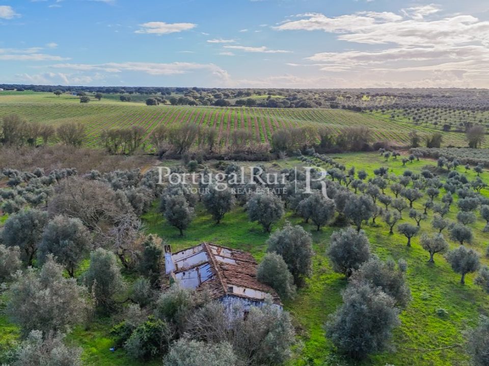 Farm hus i Avis, Portalegre - foto 2