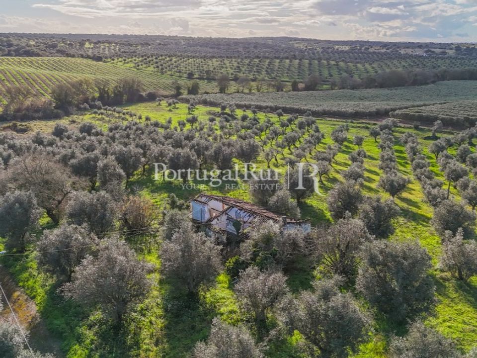 Farm hus i Avis, Portalegre - foto 4