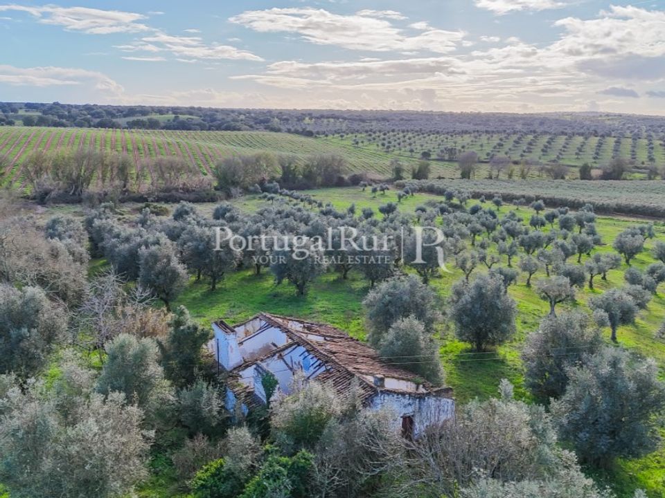 Farm hus i Avis, Portalegre - foto 5