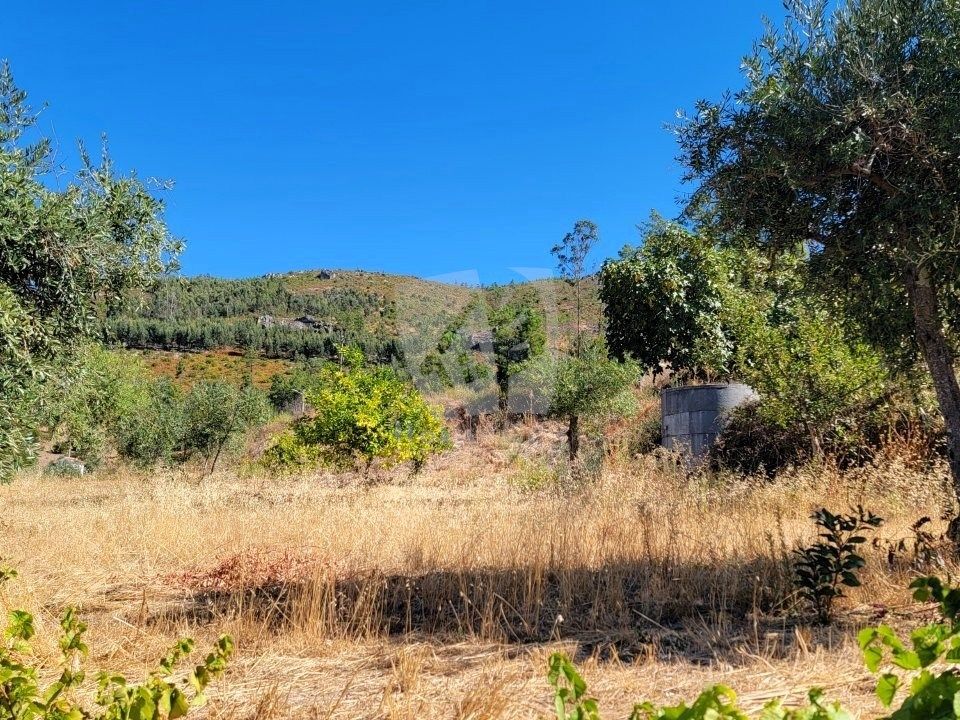Landejendom i Amieira, Castelo Branco - foto 5