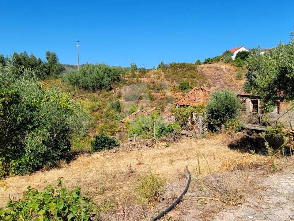 Landejendom i Amieira, Castelo Branco - foto 2
