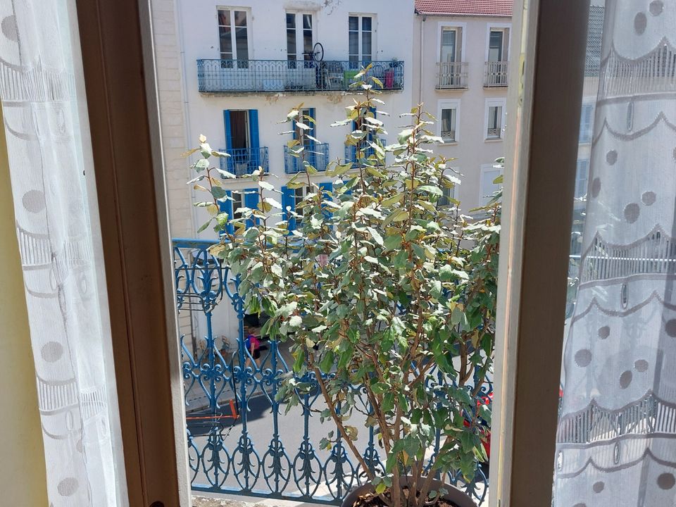 Lejlighed i Vichy, Allier - foto 5