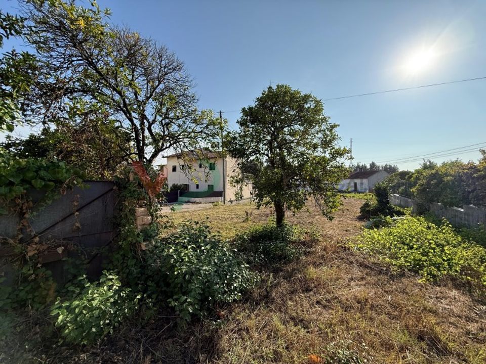 Villa i Sangalhos, Aveiro - foto 3