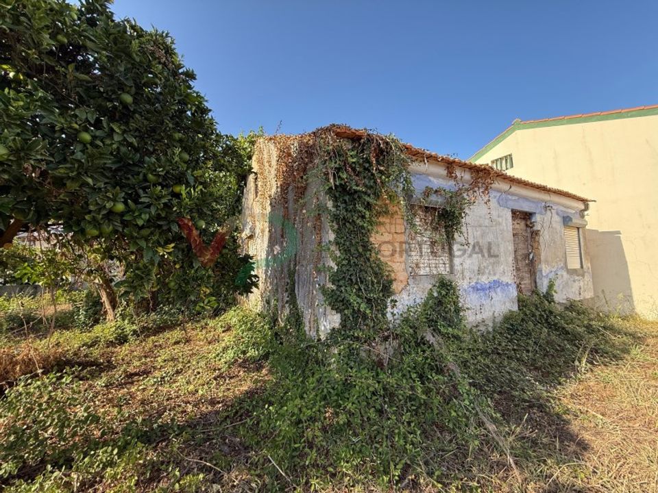 Villa i Sangalhos, Aveiro - foto 4