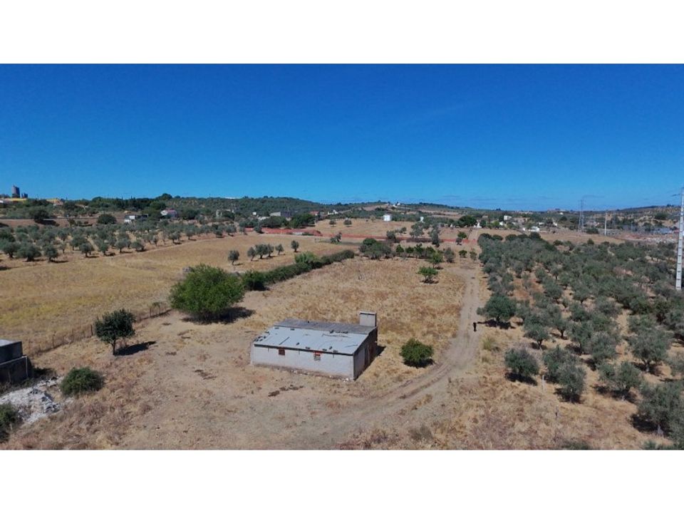 Farm i Vila Vicosa, Evora - foto 1