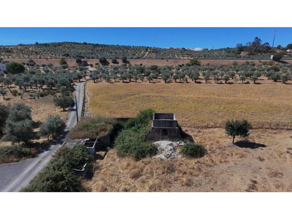 Farm i Vila Vicosa, Evora - foto 2