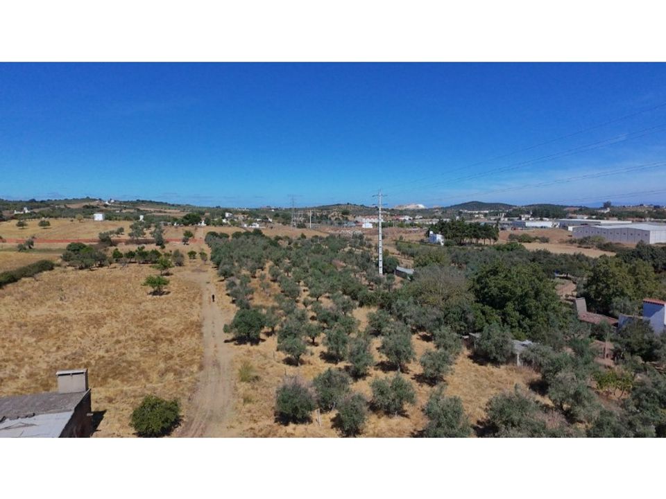Farm i Vila Vicosa, Evora - foto 3