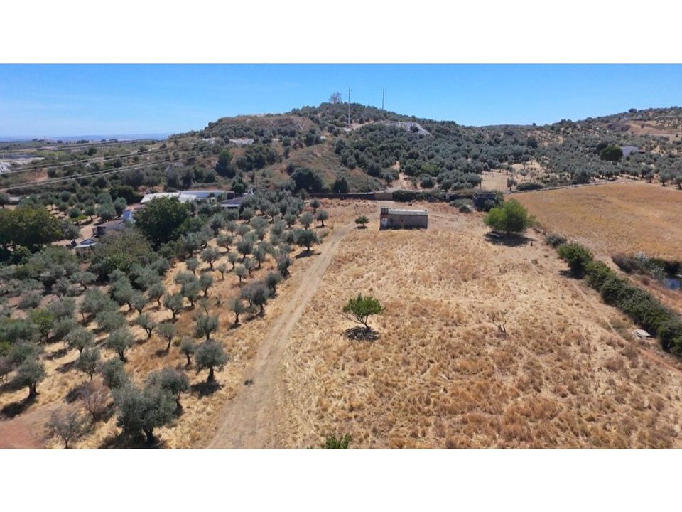 Farm i Vila Vicosa, Evora - foto 4