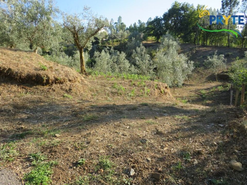 Farm i Castelo Branco, Castelo Branco - foto 2