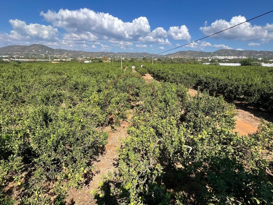 Helårsgrund i Faro, Faro - foto 1