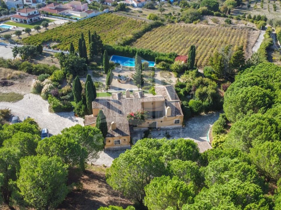 Farm i Brejos de Azeitao, Setubal - foto 1