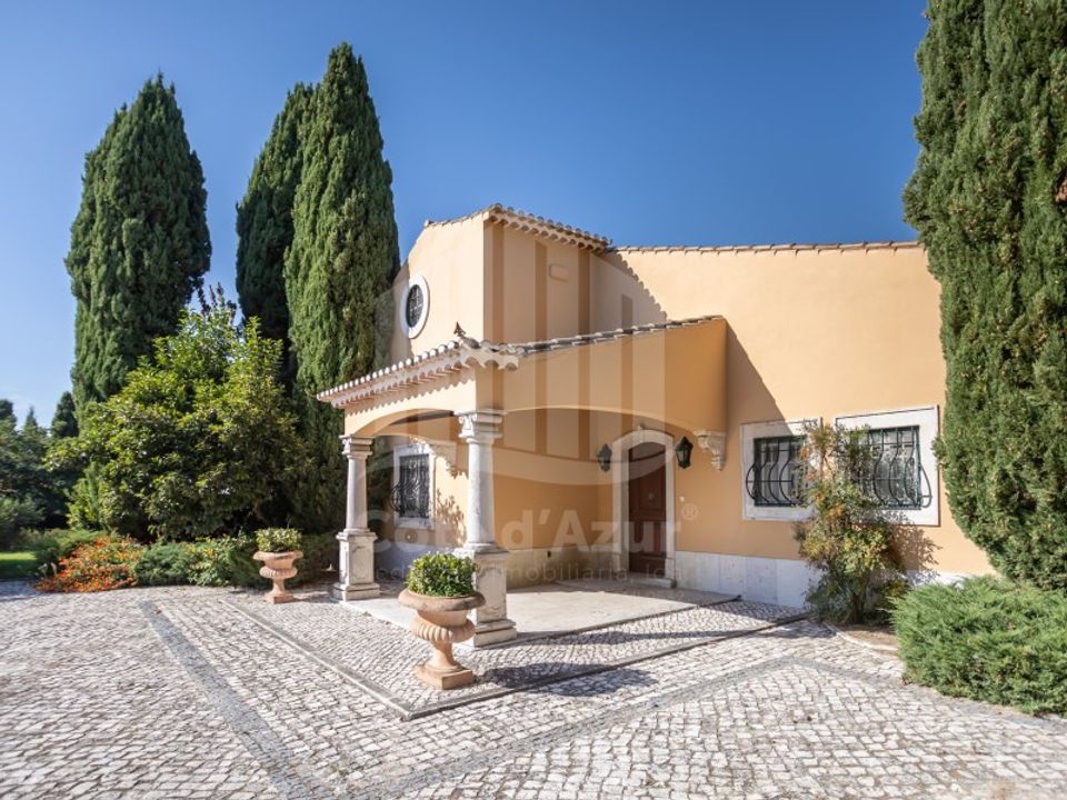 Farm i Brejos de Azeitao, Setubal - foto 2