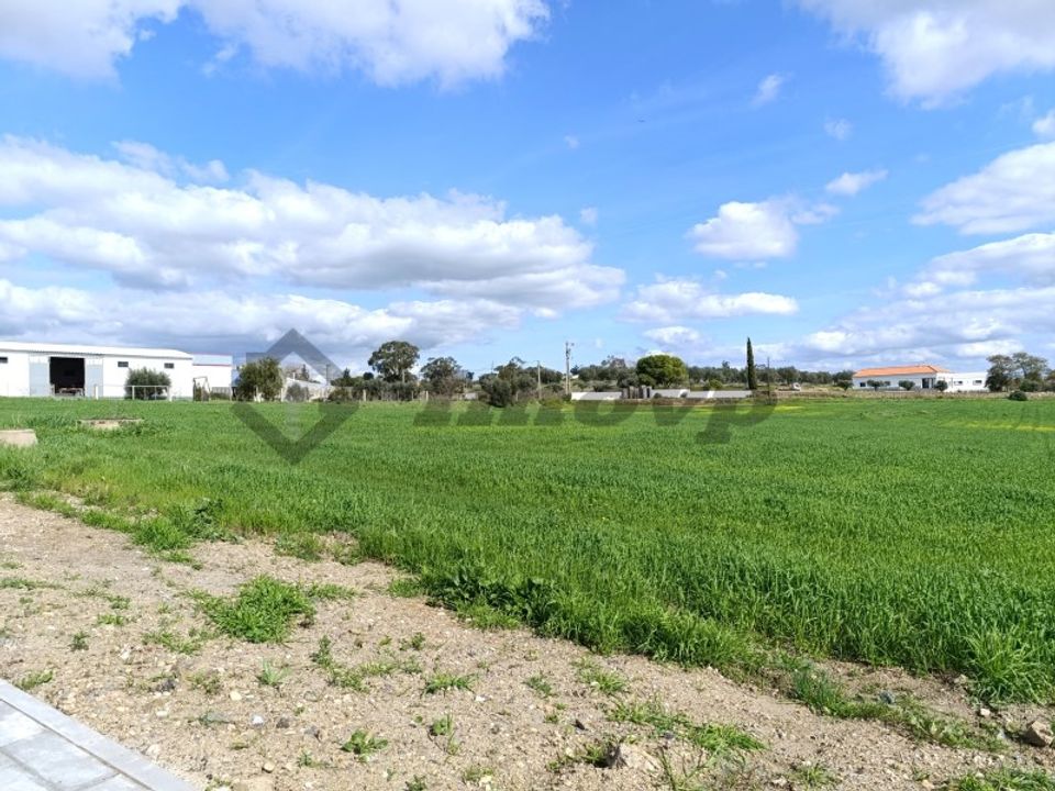 Terra a Castro Verde, Beja - foto 4