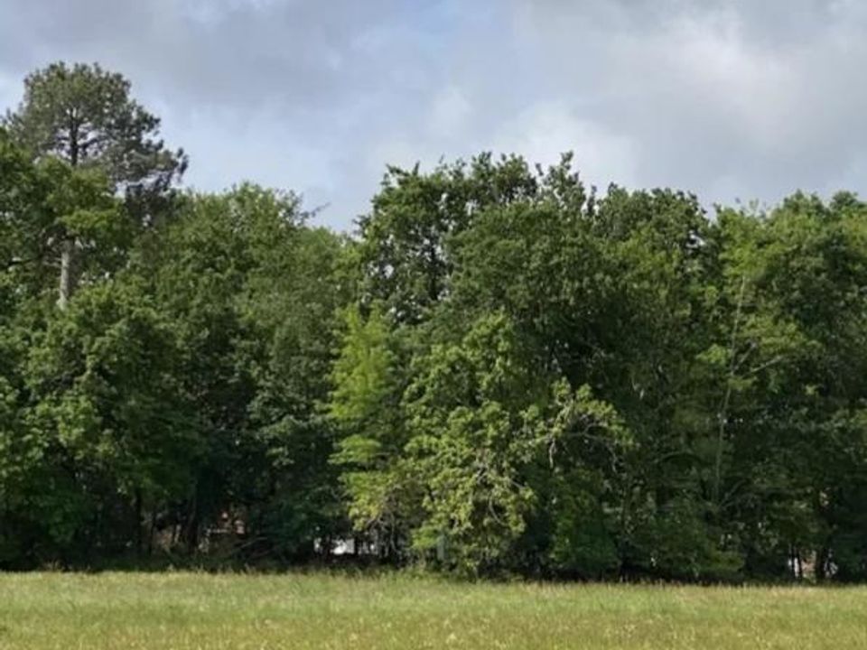 Villa i Sainte-Eulalie-en-Born, Landes - foto 1