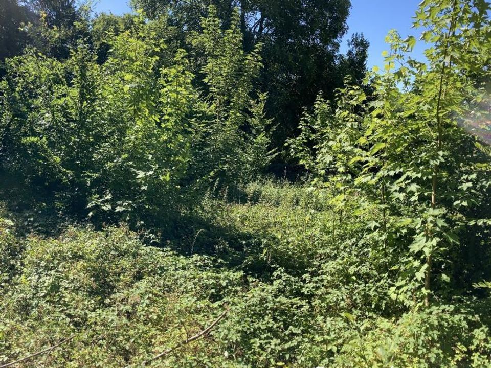 Helårsgrund i Rebais, Seine-et-Marne - foto 1