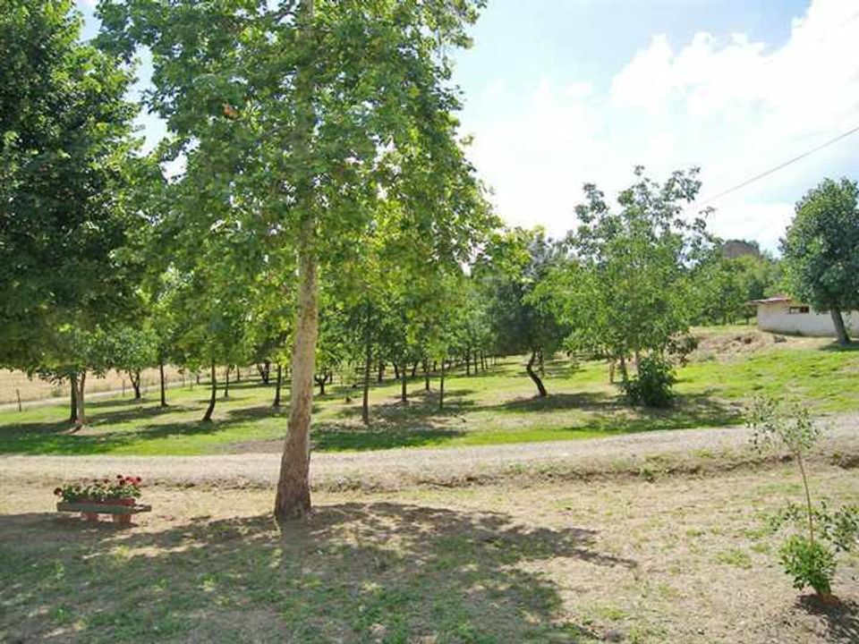Farm hus i Castelfranco Piandisco, Arezzo - foto 2