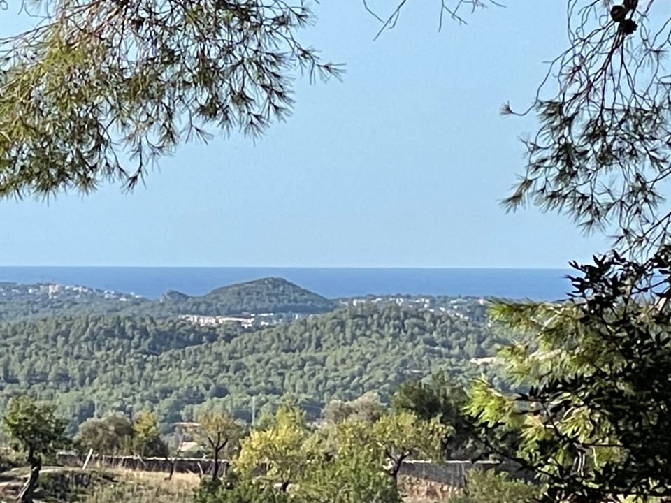 Masia a Calvia, Mallorca - foto 1