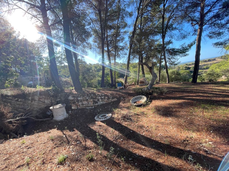 Masia a Calvia, Mallorca - foto 2