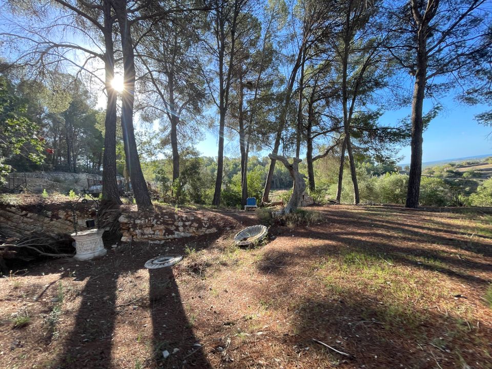 Masia a Calvia, Mallorca - foto 4