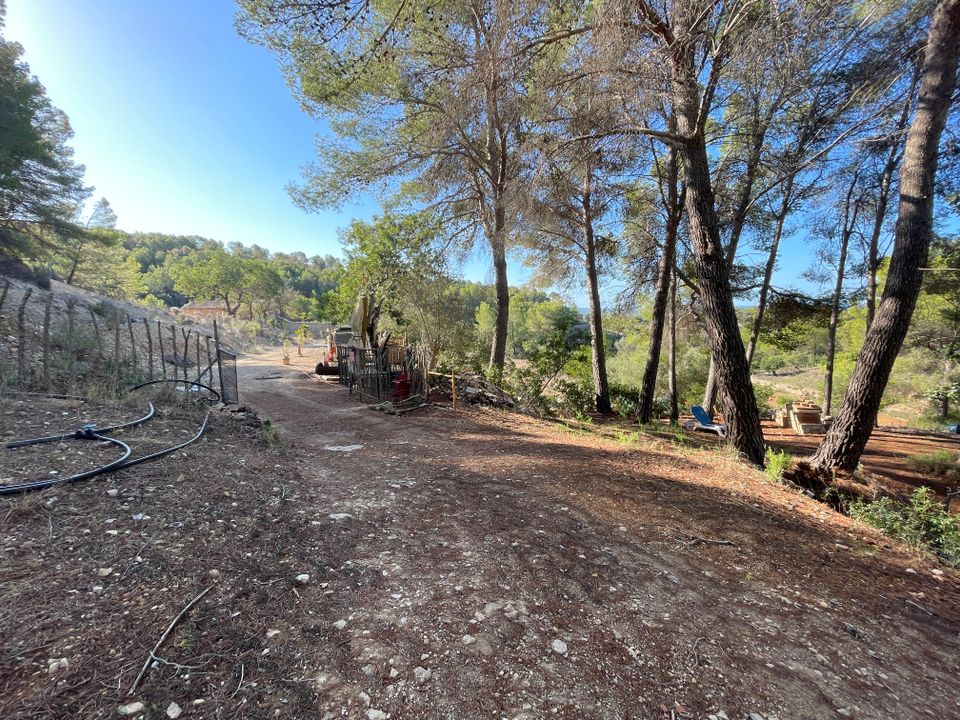 Masia a Calvia, Mallorca - foto 5