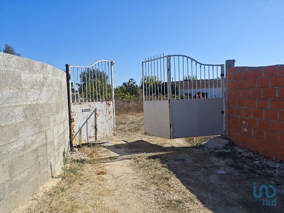 Helårsgrund i Coruche, Santarem - foto 3