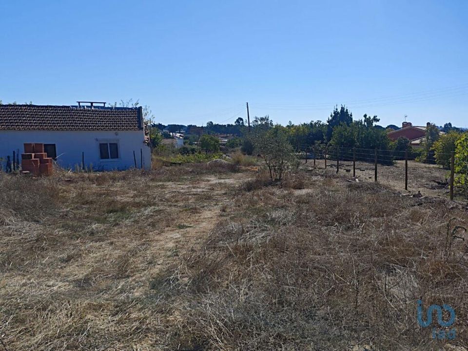Helårsgrund i Coruche, Santarem - foto 4