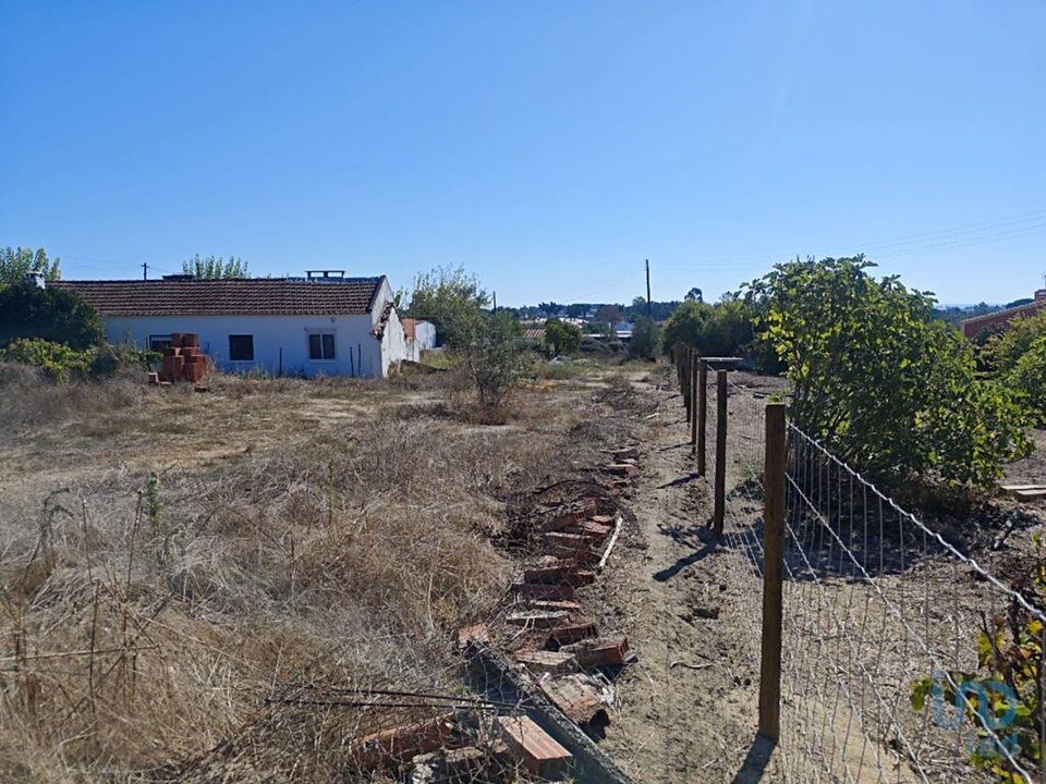 Helårsgrund i Coruche, Santarem - foto 5