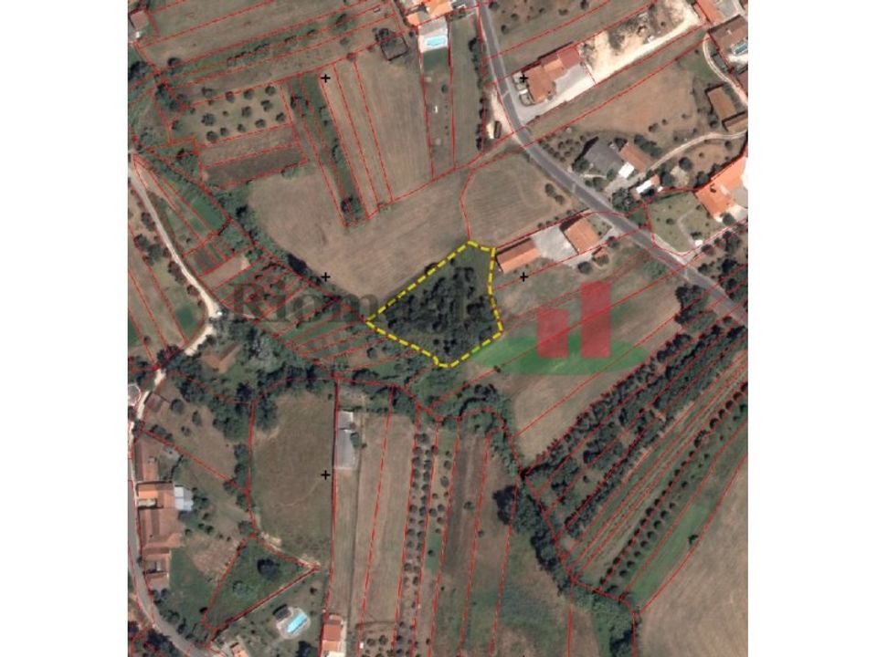 Helårsgrund i Rio Maior, Santarem - foto 1
