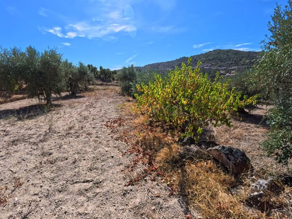 Terra a Sobral Pichorro e Fuinhas, Guarda - foto 4